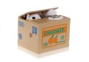 Skarbonka Kot Nauka Oszczędzania Pomarańcza
