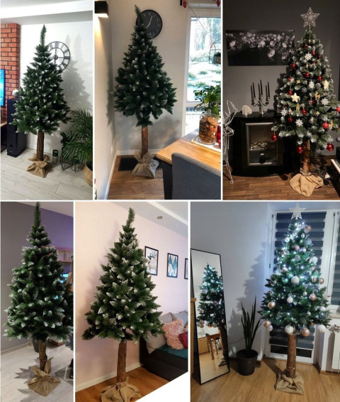 Choinka Sztuczna Sosna Diamentowa 220cm na Pniu Premium