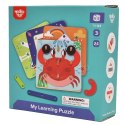 TOOKY TOY Drewniana Układanka Klocki Kołki Wzory Zwierząt do Odtworzenia