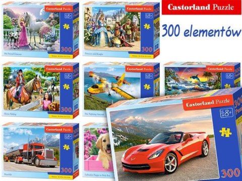 Castorland Puzzle 300 elem. piękne obrazy CA0026