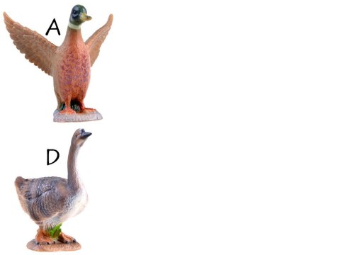 Kogut gęś kaczka Zwierzęta domowe figurka ZA3387