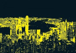 Puzzle 1000 elementów Hong Kong Skyline Educa