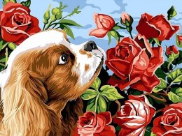 Obraz Malowanie po numerach - Pies z różami Norimpex