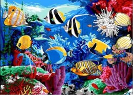 Obraz Malowanie po numerach - Ryby w oceanie Norimpex