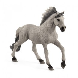 Figurka Koń Mustang Ogier Rasy Sorraia Schleich