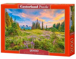 Puzzle 2000 elementów Górska polana Blossom of Morning Castor
