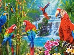 Puzzle 2000 elementów Papugi spotkanie Castor