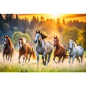 Puzzle - 1500 - Dzikie konie - Trefl 26215