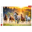 Puzzle - 1500 - Dzikie konie - Trefl 26215