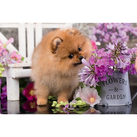 Puzzle - 54 mini - Urocze zwierzątka - Trefl 54195