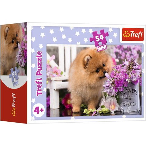Puzzle - 54 mini - Urocze zwierzątka - Trefl 54195