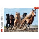 Puzzle - 1000 - Galopujące konie - Trefl 10446