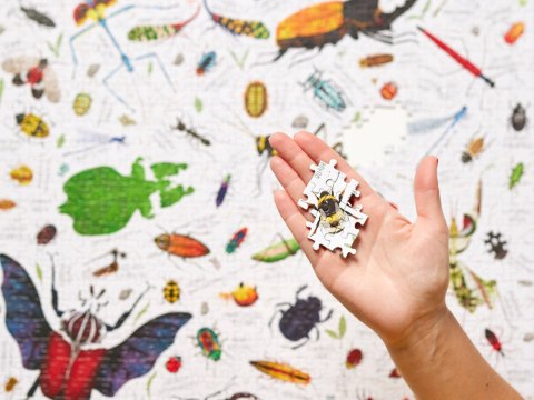 CzuCzu Puzzlove Puzzle OWADY 1000 elementów ZA5624