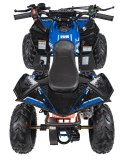 Pojazd Quad Spalinowy RENEGADE HIPERFECT 110CC Niebieski