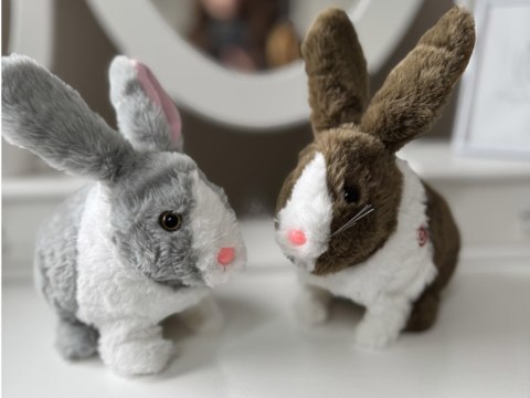 Interaktywny zwierzaczek chrupaczek Królik ZA2685