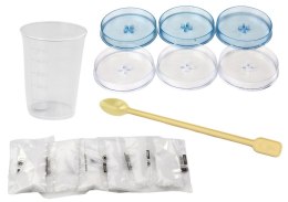 Zestaw Edukacyjny Doświadczenie Hodowla Kryształów Drzewka