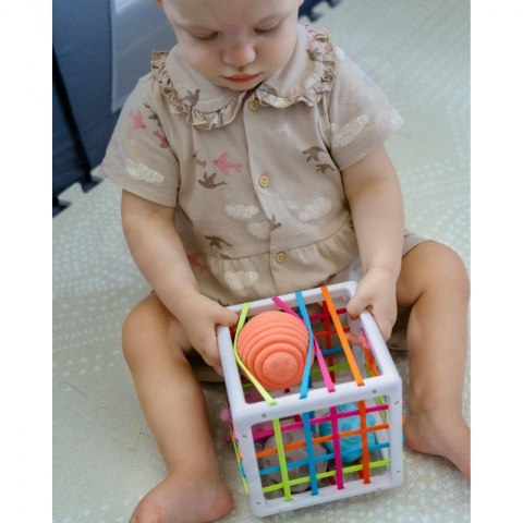 WOOPIE Elastyczna Kostka Sensoryczna Sorter dla Dzieci 5 el.