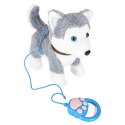 Piesek interaktywny na smyczy szczeka chodzi rusza ogonem Husky