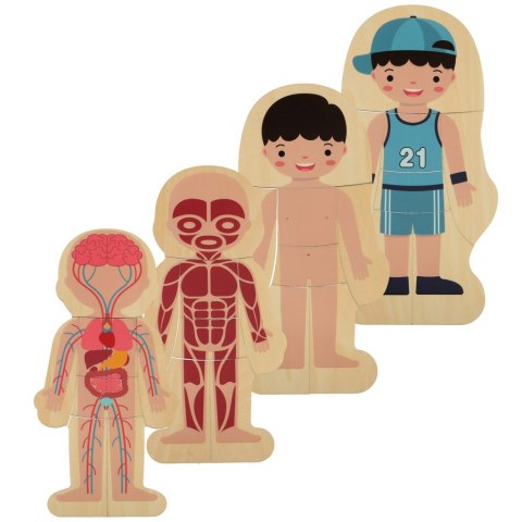 Puzzle drewniane warstwowe budowa ciała montessori chłopiec