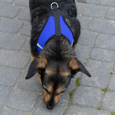 Szelki bezuciskowe spacerowe regulowane odblask dla psa kota + smycz rozmiar XL