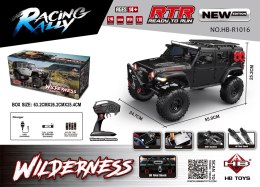 Auto R/C WILDERNESS RTR 1:10 Czarny