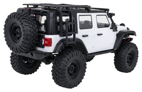 Auto R/C WILDERNESS RTR 1:10 Biały