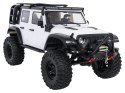 Auto R/C WILDERNESS RTR 1:10 Biały