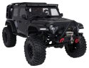Auto R/C WILDERNESS RTR 1:10 Czarny