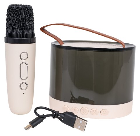 Zestaw Karaoke Mikrofon + Podświetlany Głośnik