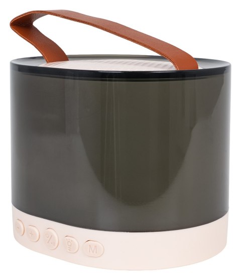 Zestaw Karaoke Mikrofon + Podświetlany Głośnik