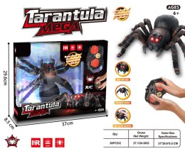 MEGA Pająk Tarantula R/C