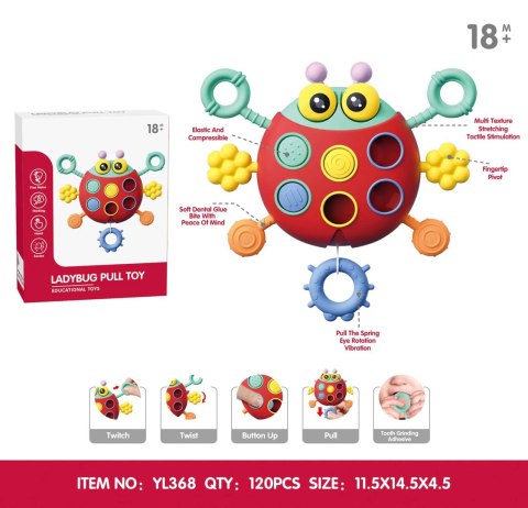 Wielofunkcyjna Biedronka Dla Najmłodszych