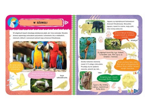 Aksjomat Egzotyczne zwierzęta. Ciekawostki dla dzieci. album z naklejkami KS0891