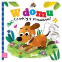 Aksjomat W domu. Co odkryję paluszkiem? W domu KS0986