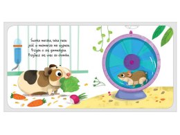 Aksjomat W domu. Co odkryję paluszkiem? W domu KS0986