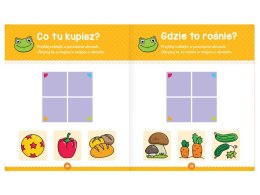 Aksjomat Zabawy malucha z żabką książeczka z naklejkami KS0826