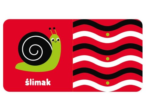 Aksjomat Zobacz maluszku! Książeczka kontrastowa z wózkiem KS0833