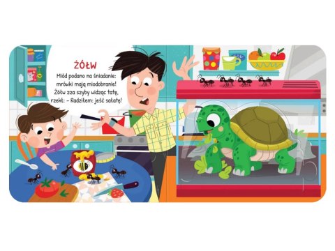 Aksjomat Zwierzęta w domu. Duże puzzle KS1187