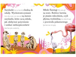 Aksjomat Wyrazy i zdania do nauki czytania. Zwierzęta duże i małe KS1174