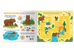 Aksjomat Zwierzątka w lesie. Labirynty KS1182