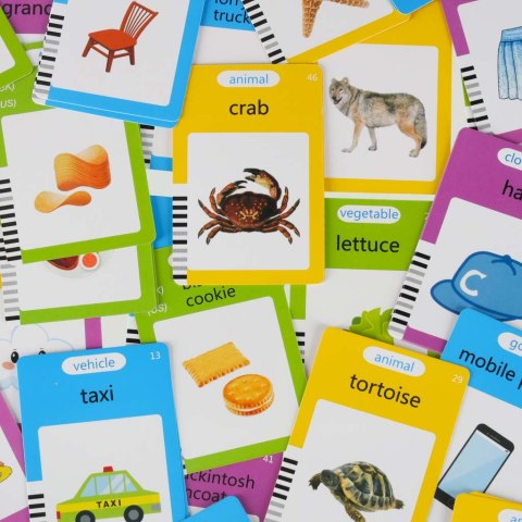 Czytnik do fiszek nauka angielskiego znikopis niebieski