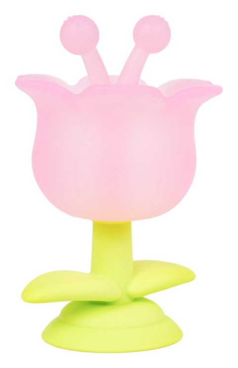 Gryzak Kwiatek Różowy + Opakowanie