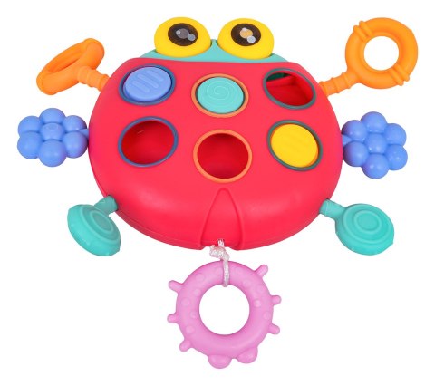 Wielofunkcyjna Biedronka Dla Najmłodszych