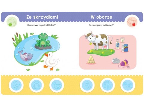 Aksjomat Quiz 2-latka z myszką. Zabawa z naklejkami i test wiedzy KS1133