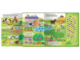 Aksjomat Słuchaj i oglądaj! Zwierzęta. ponad 50 dźwięków KS1137