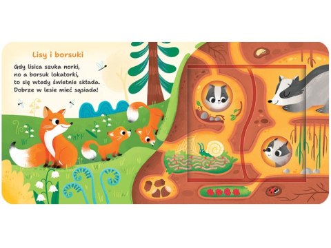AksjomatW lesie. Podwójne okienka-otwórz i odkrywaj leśne tajemnice!KS1146