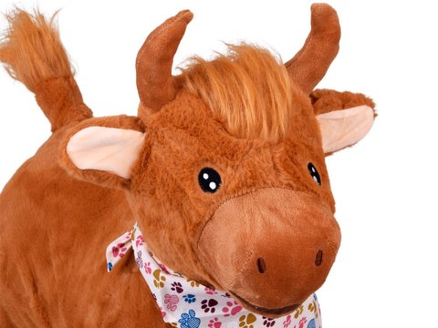 Pompowany mięciutki Skoczek BYK do skakania w apaszce + pompka ZA5902