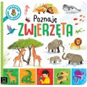 Aksjomat Akademia małego dziecka. Poznaję zwierzęta KS1040