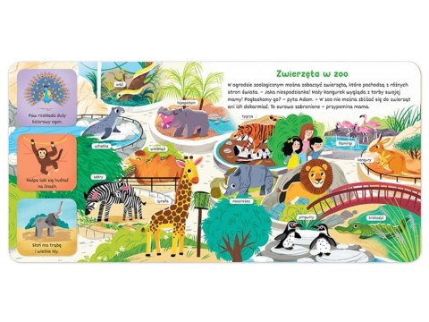 Aksjomat Akademia małego dziecka. Poznaję zwierzęta KS1040