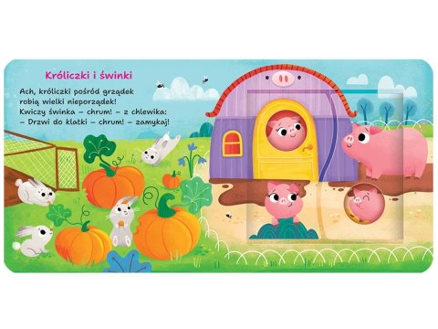 Aksjomat Na wsi. Podwójne okienka. Otwórz i sprawdź KS1109